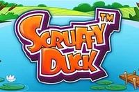 Scruffy Duck
